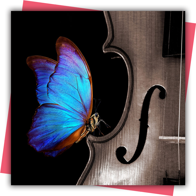 Dancing-on-Strings-image